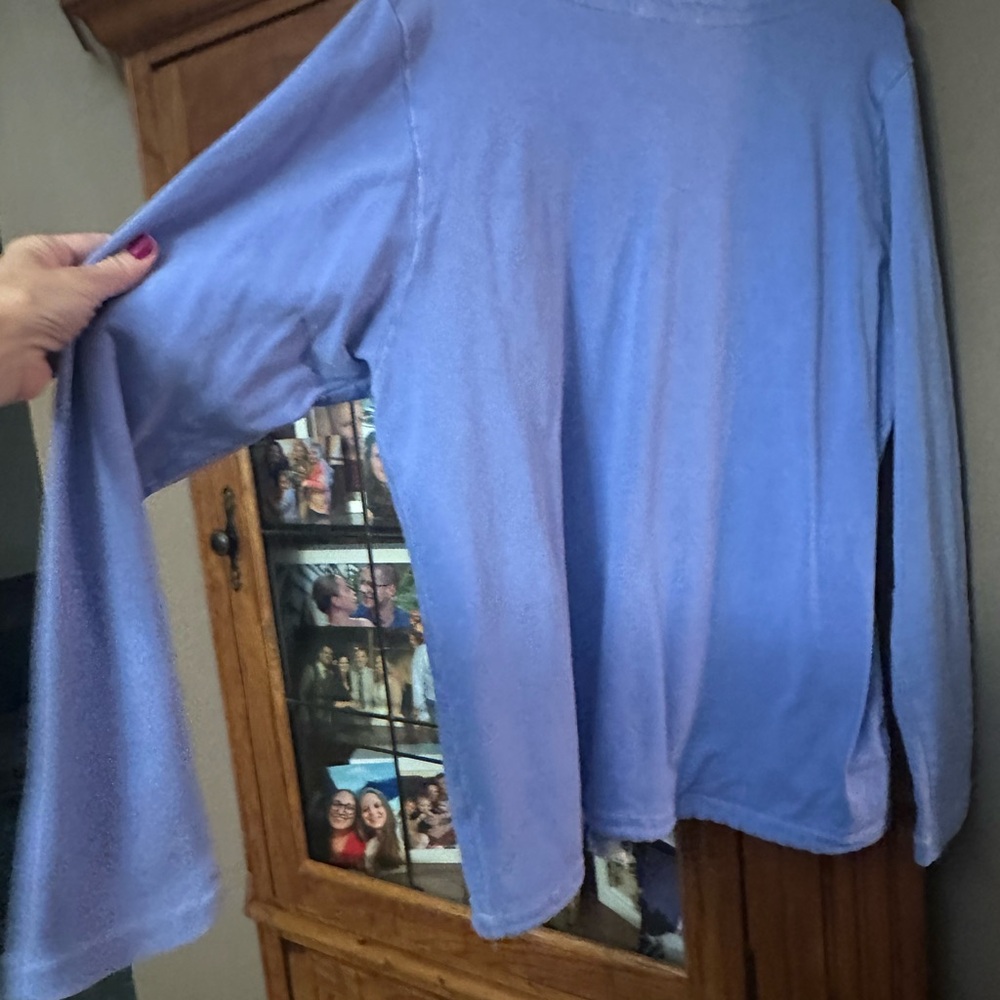XL/XXL Stretchy Fresh Produce Blue Distressed Sweatshirt. Runs small ! - Picture 10 of 15